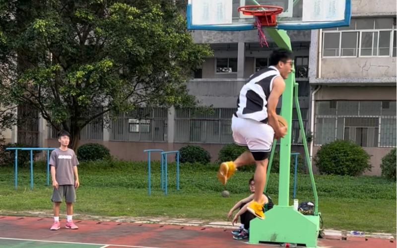球队生态的